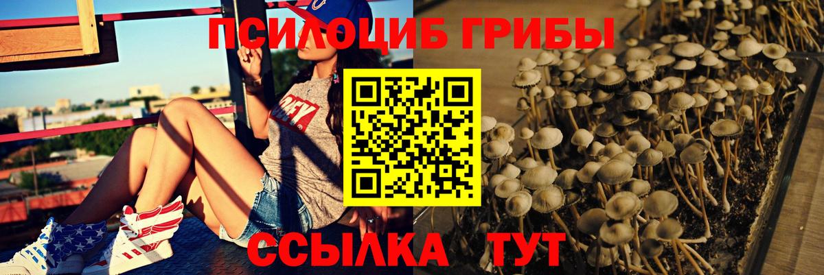 Псилоцибиновые грибы GOLDEN TEACHER Клин